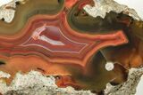 Colorful, Polished Condor Agate - Argentina #207251-1